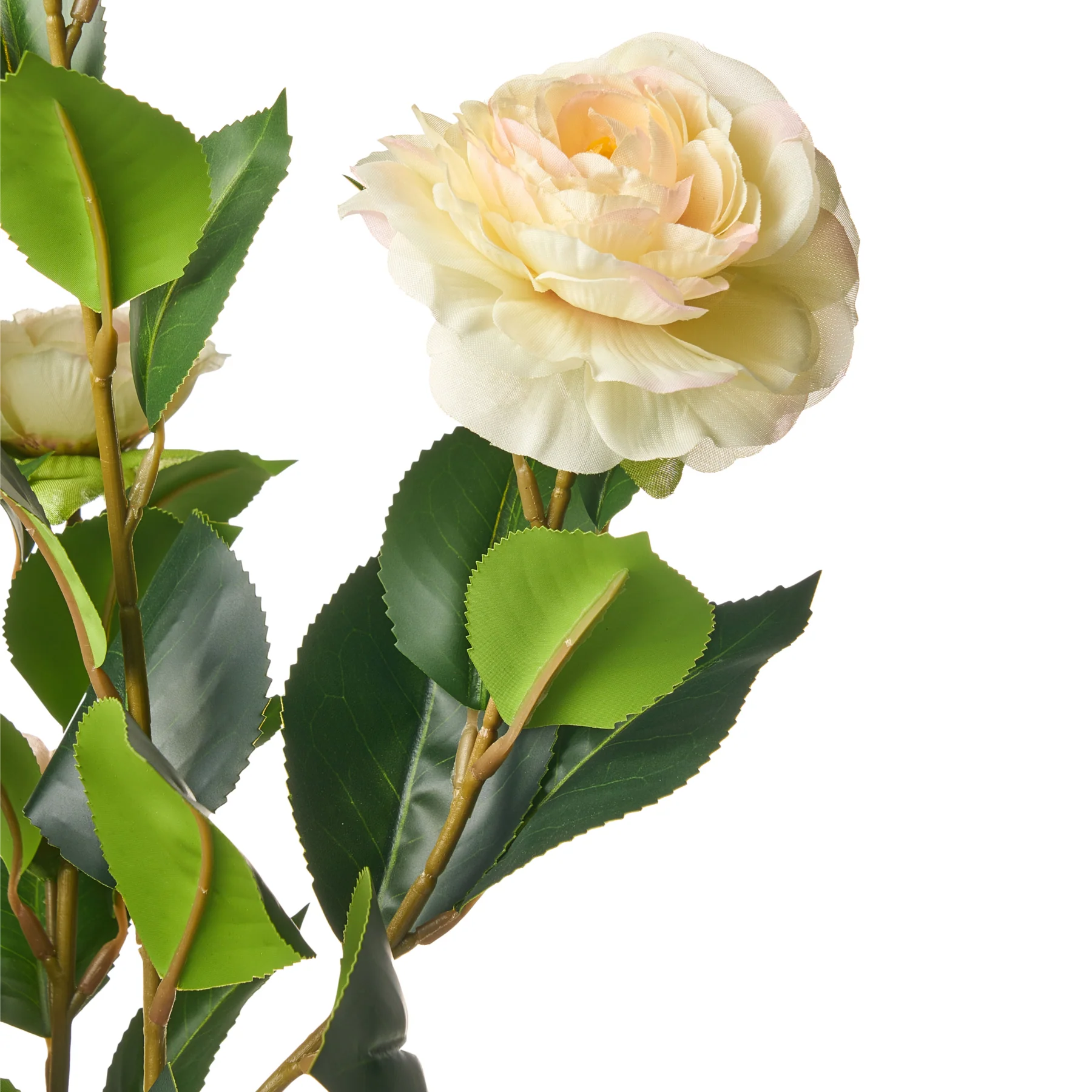 Beliani - CAMELLIA - Kunstplant - Groen - 60 cm - Kunststof - Image 4
