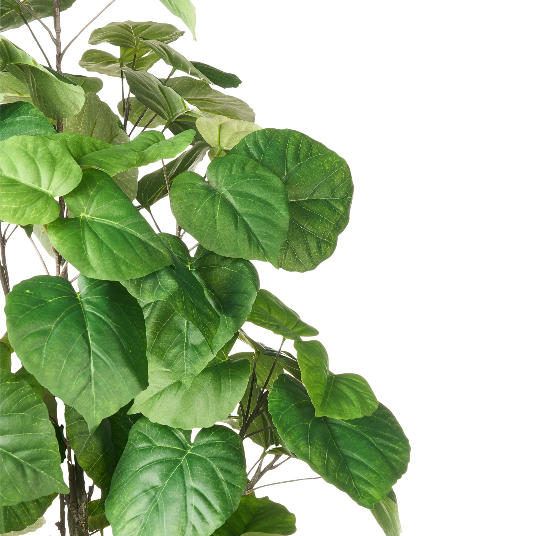 Beliani - FICUS TREE - Kunstplant - Groen - 160 cm - Kunststof - Image 4