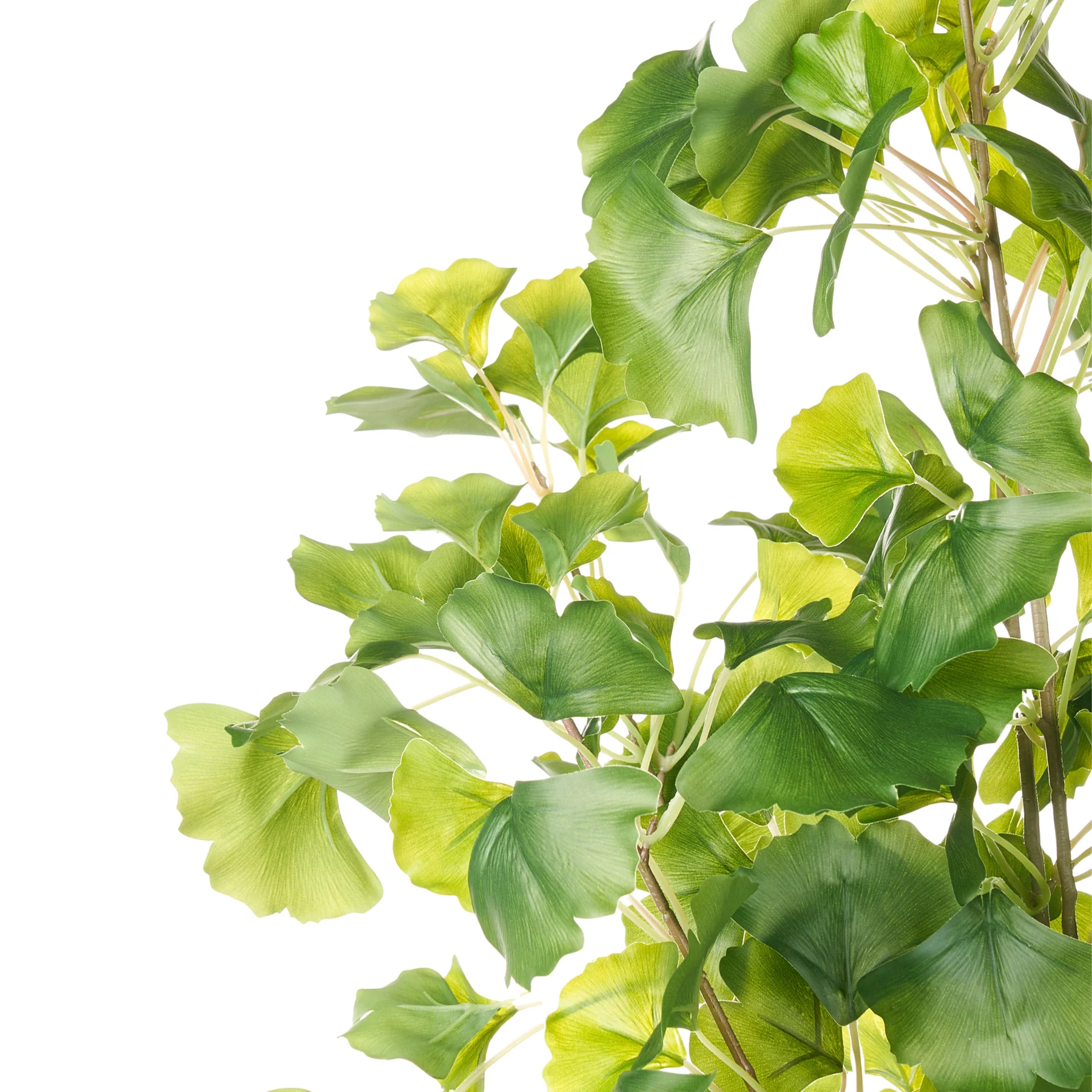 Beliani - GINKGO TREE - Kunstplant - Groen - 150 cm - Kunststof - Image 4