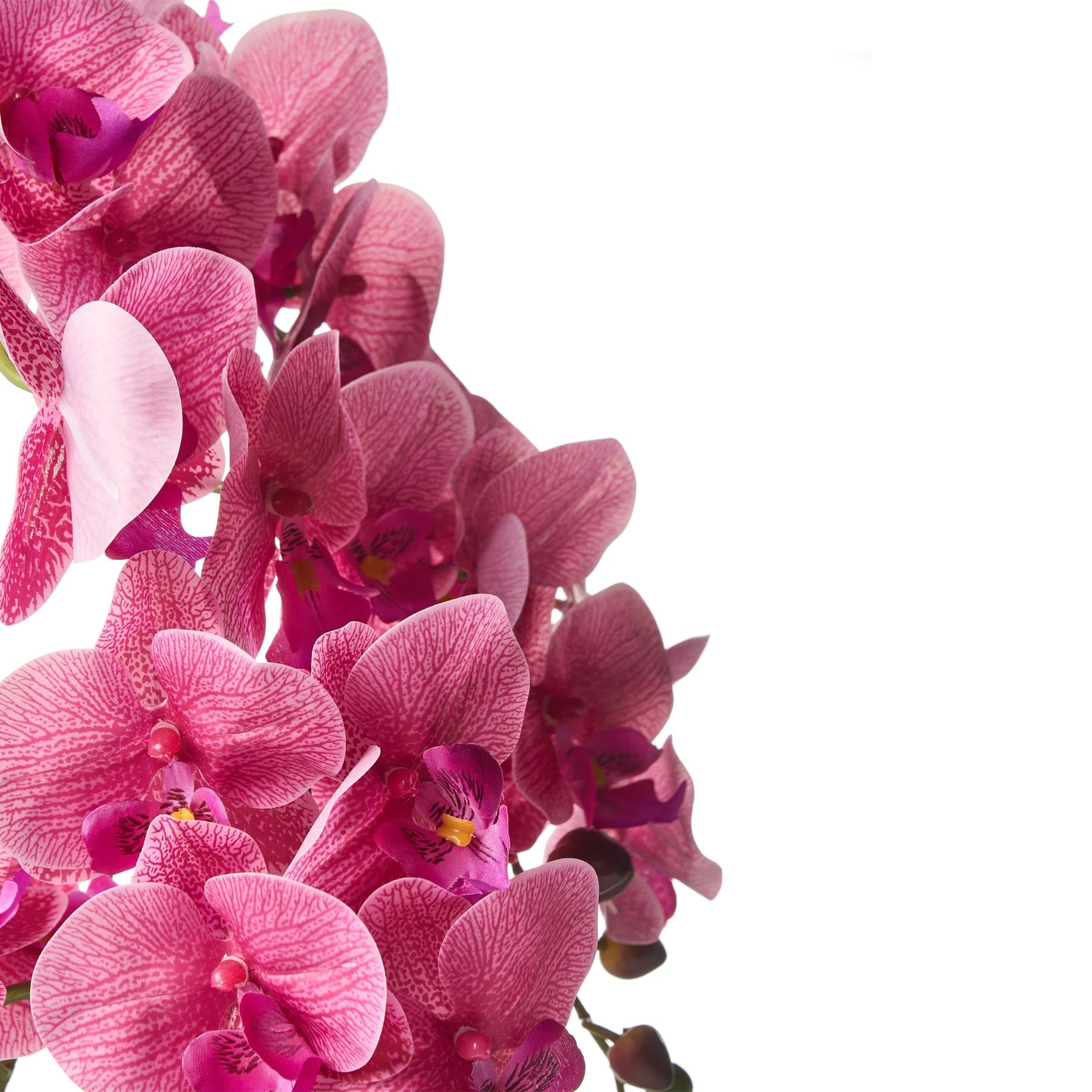Beliani - ORCHID - Kunstplant - Roze - 65 cm - Synthetisch materiaal - Image 4