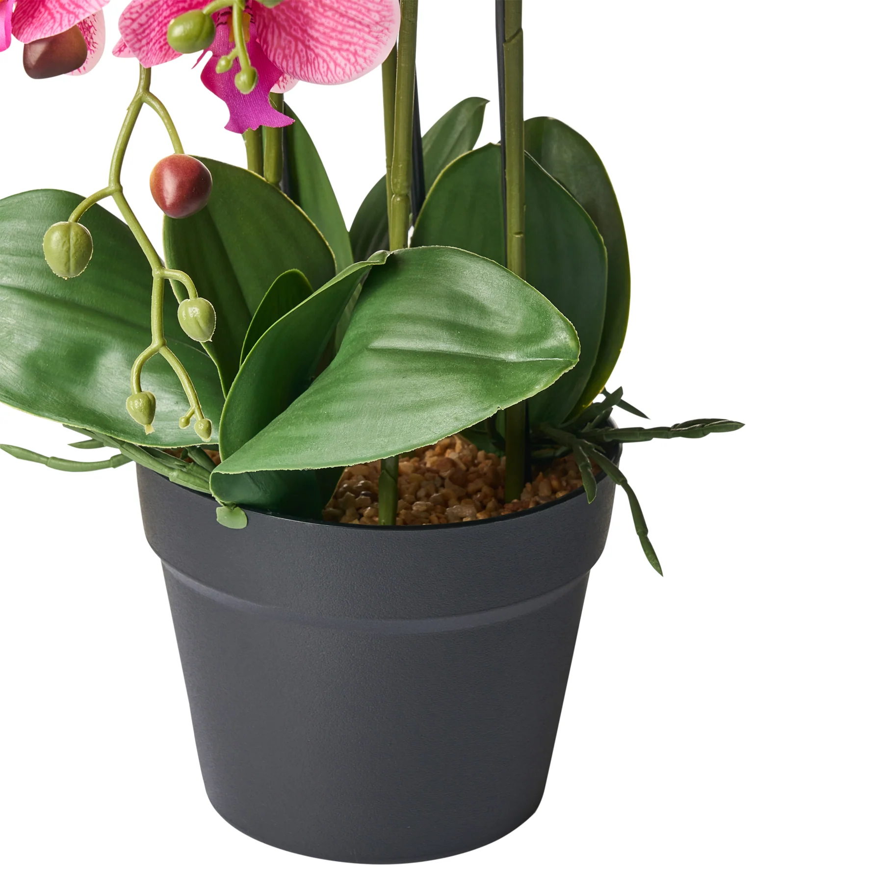 Beliani - ORCHID - Kunstplant - Roze - 65 cm - Synthetisch materiaal - Image 5