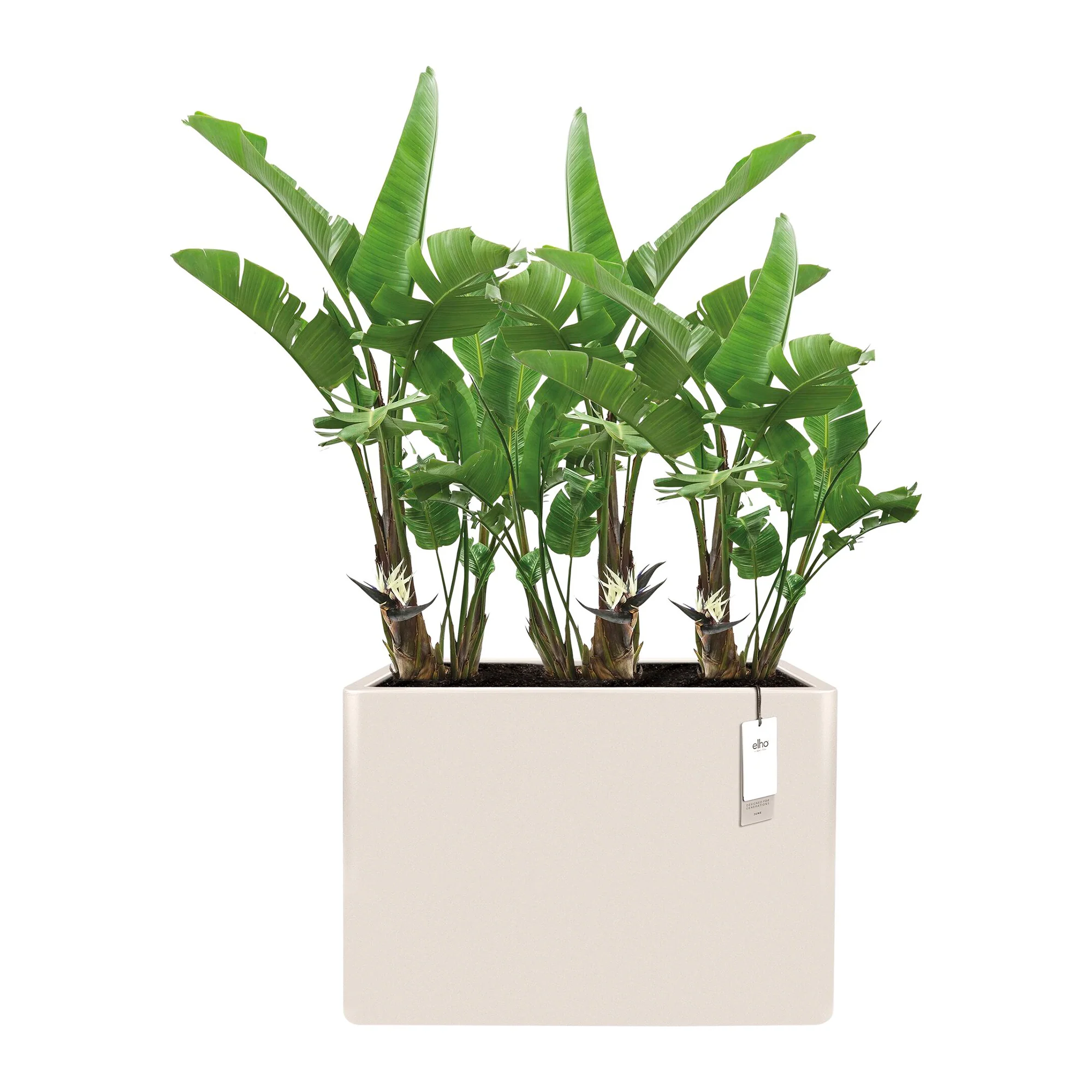 Elho June Brick Divider 80 - Linnen wit - L 79 x B x H 59 cm - Binnen en Buiten - 100% gerecycled kunststof - Image 5