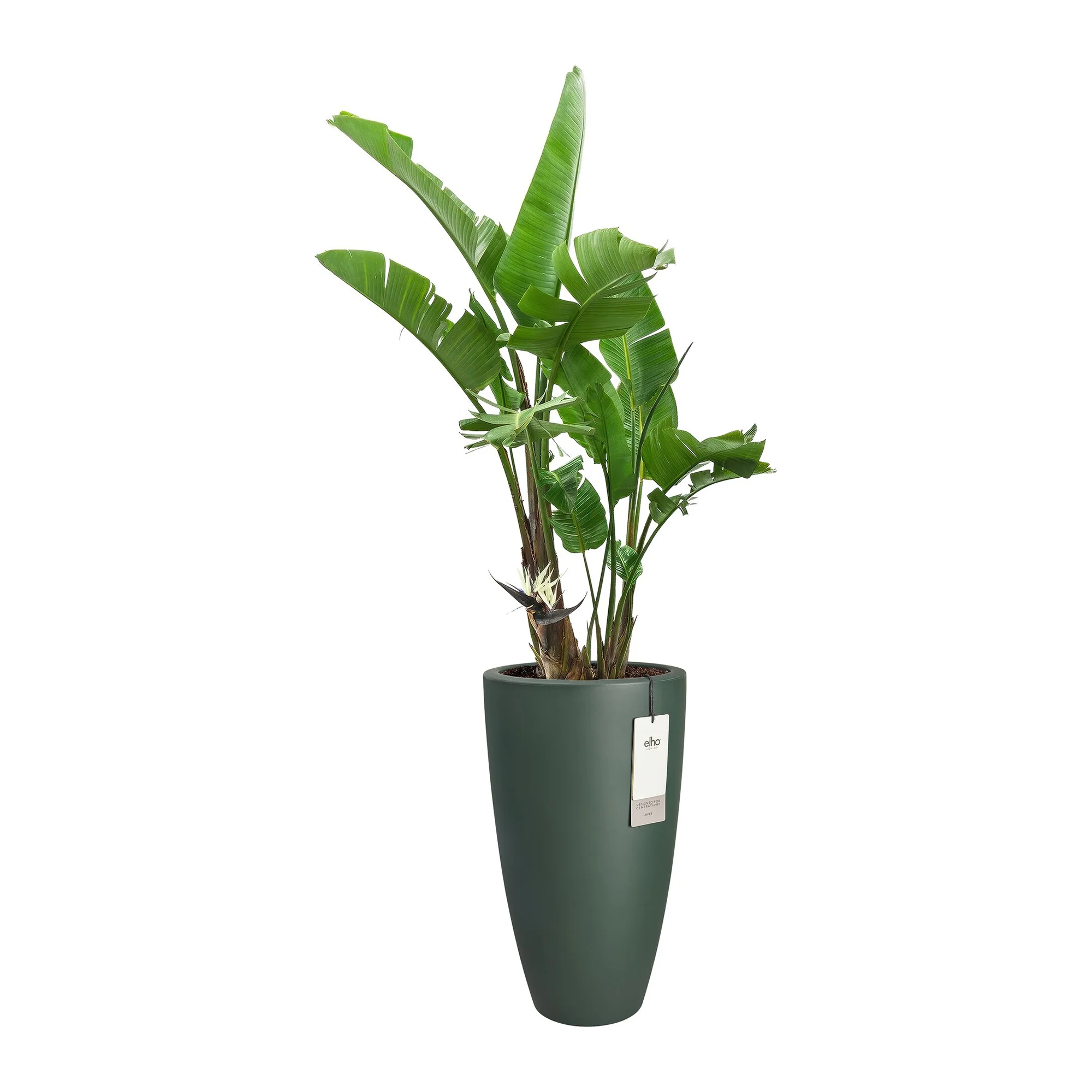 Elho June Round High 30 - Groen - L 30 x B x H 53 cm - Binnen en Buiten - 100% gerecycled kunststof - Image 3