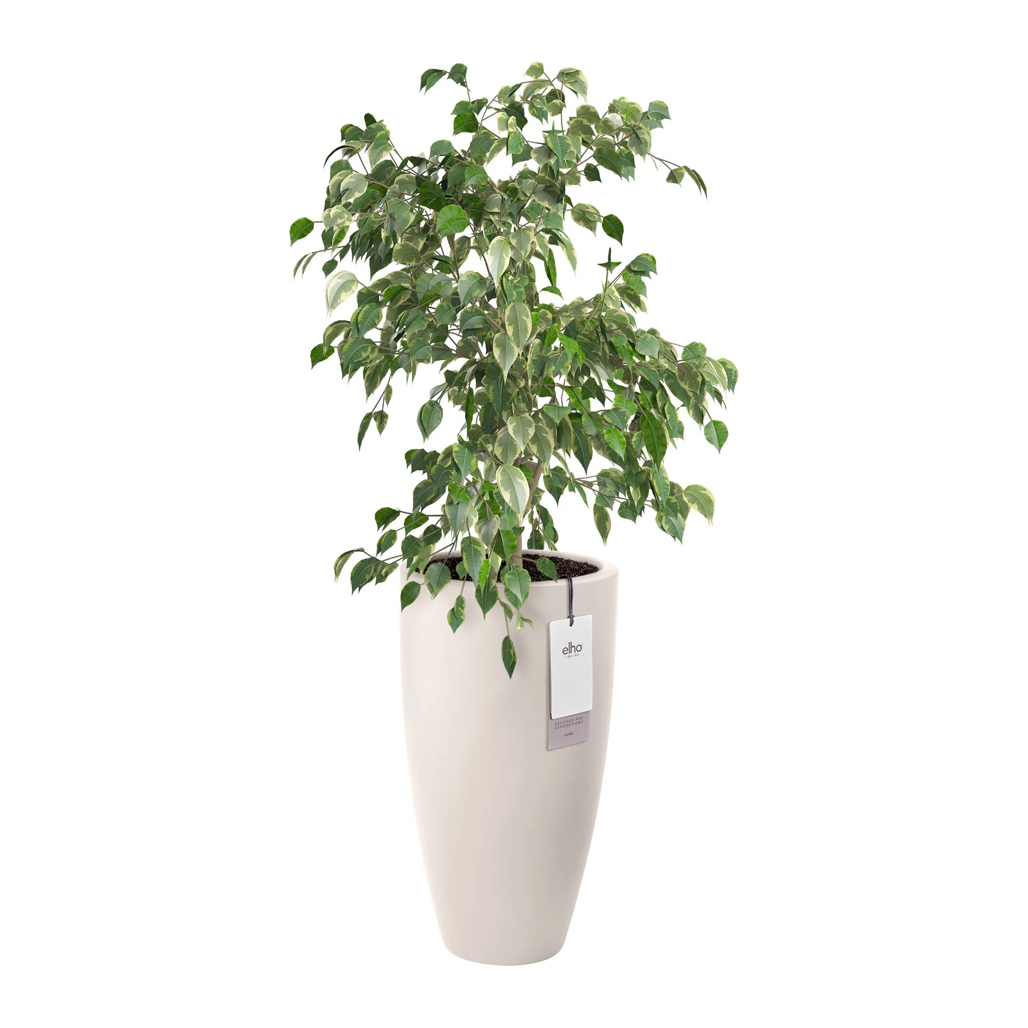 Elho June Round High 30 - Linnen wit - L 30 x B x H 53 cm - Binnen en Buiten - 100% gerecycled kunststof - Image 4