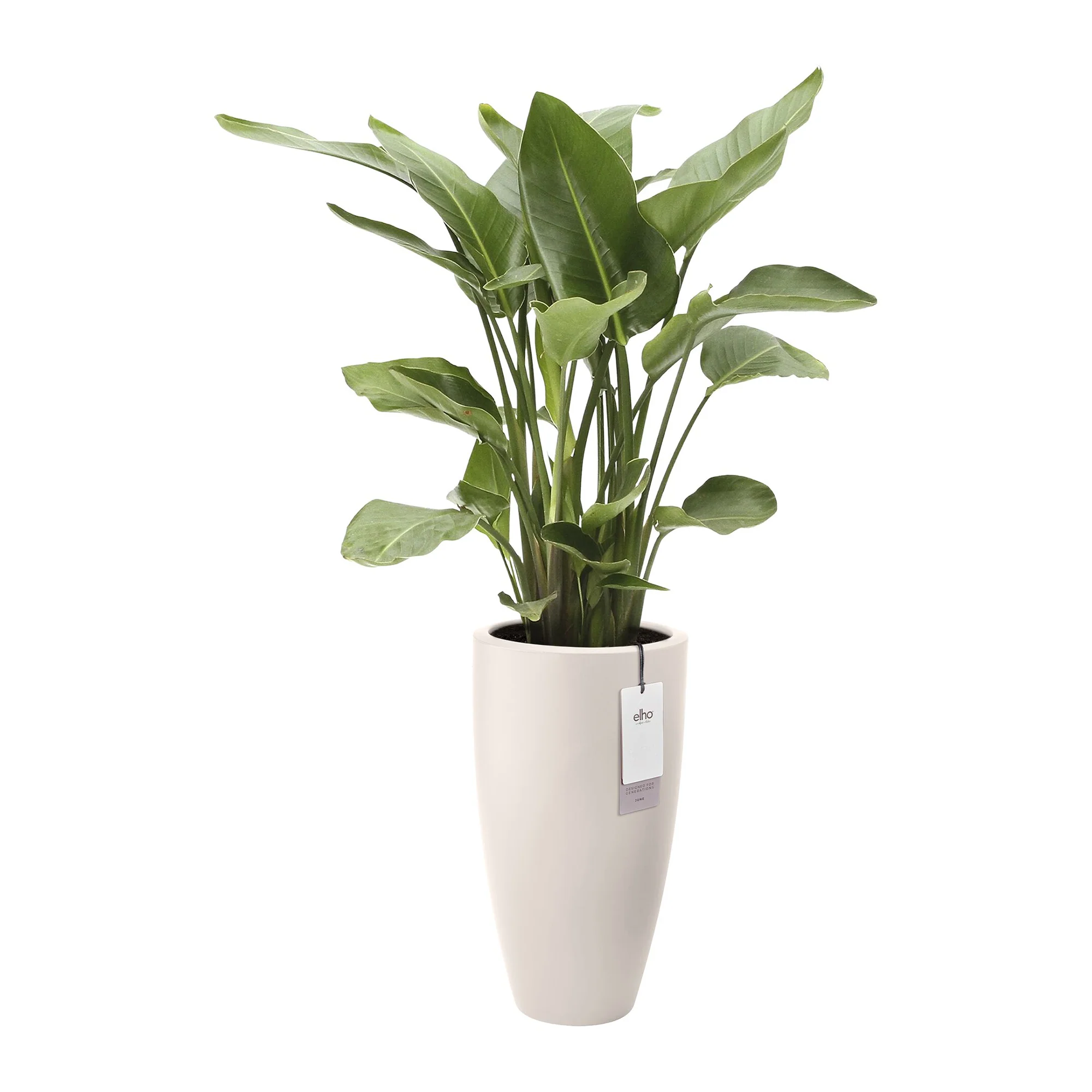 Elho June Round High 30 - Linnen wit - L 30 x B x H 53 cm - Binnen en Buiten - 100% gerecycled kunststof - Image 5