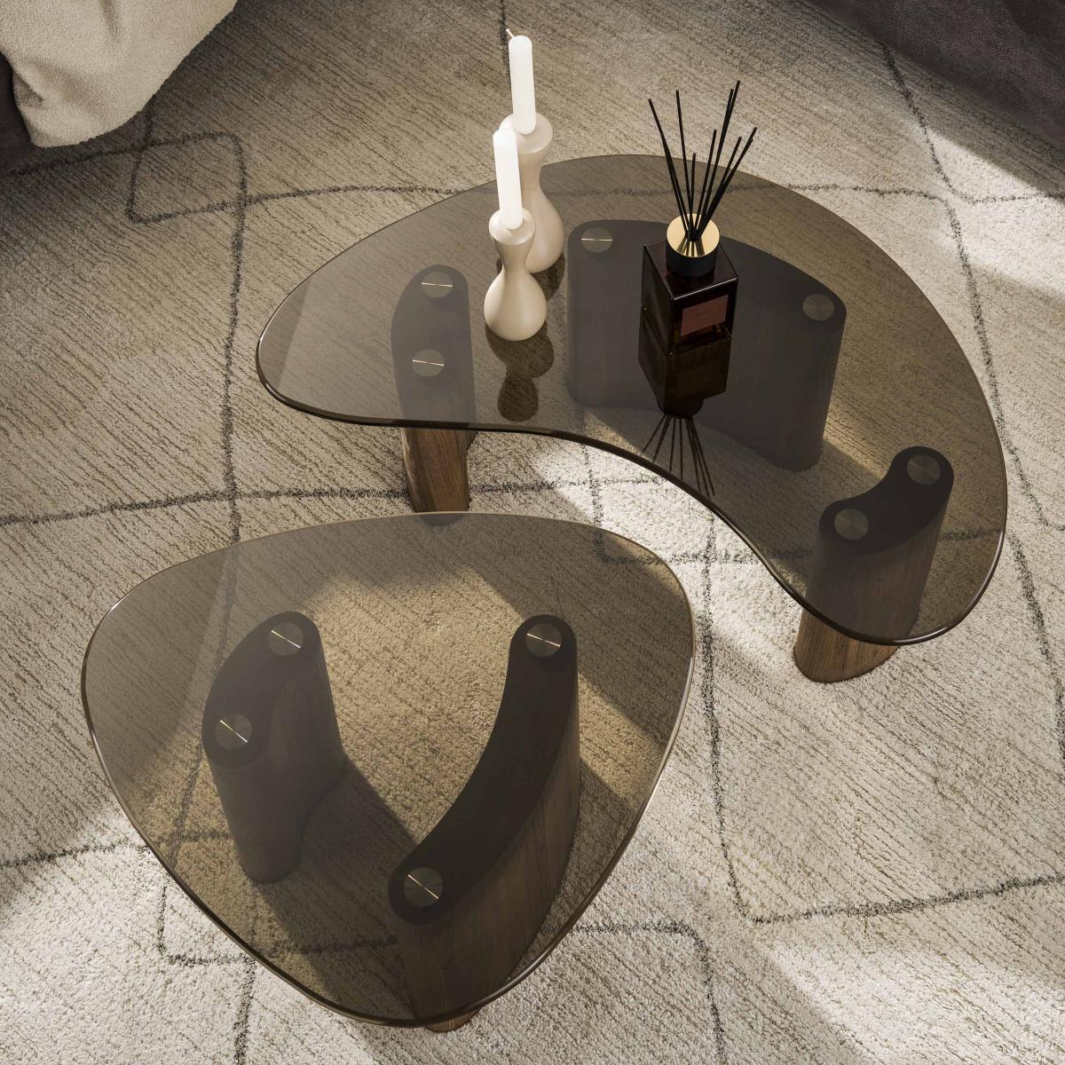 Fraaai - Caruso organische salontafels - set van 2 - smoked glass - Image 3