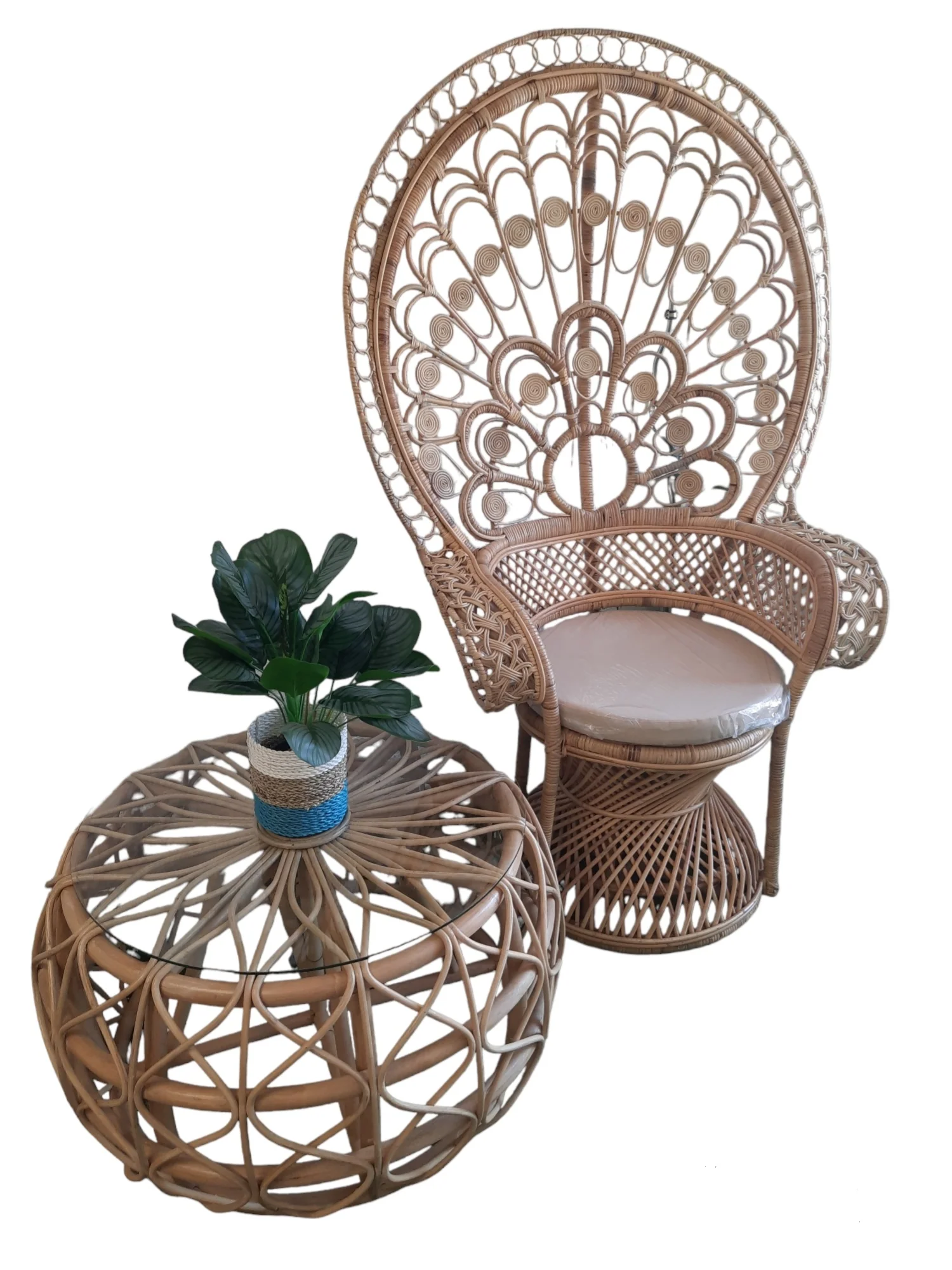 FURNILUX-Peacock stoel-Rotan-110 x 55 x 160 cm - Image 2