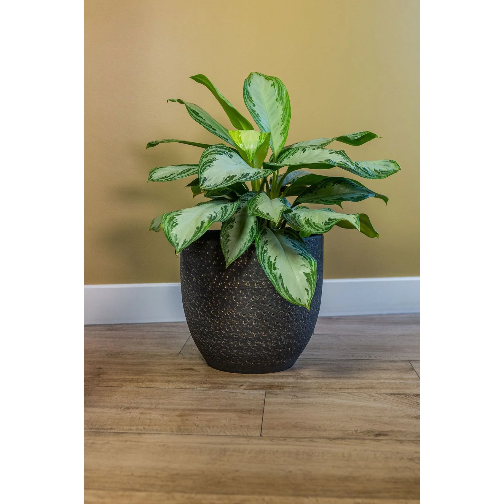 Ter Steege Plantenpot|Bloempot Lava Stone - zwart - D29 x H26 cm - Image 2