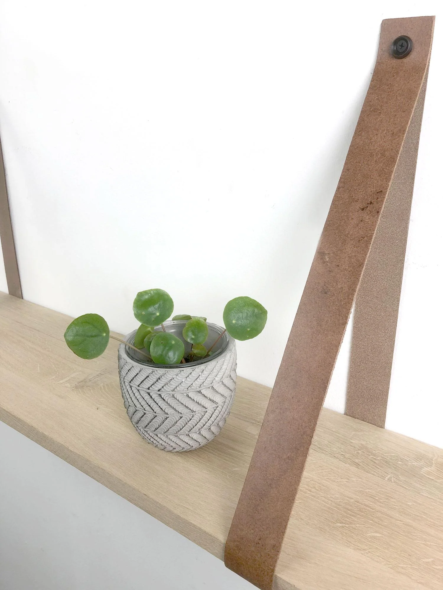 Woodbrothers Eiken 18mm wandplank recht 120x20cm + leren riem cognac - Image 3