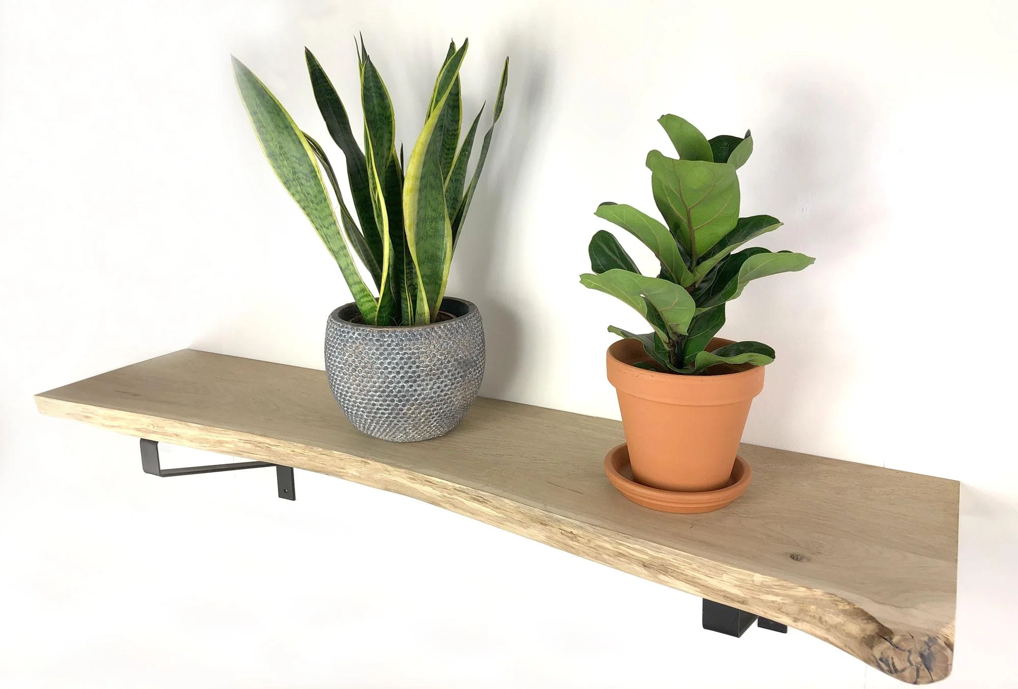Woodbrothers Eiken wandplank massief boomstam 100x40cm + dragers - Image 4